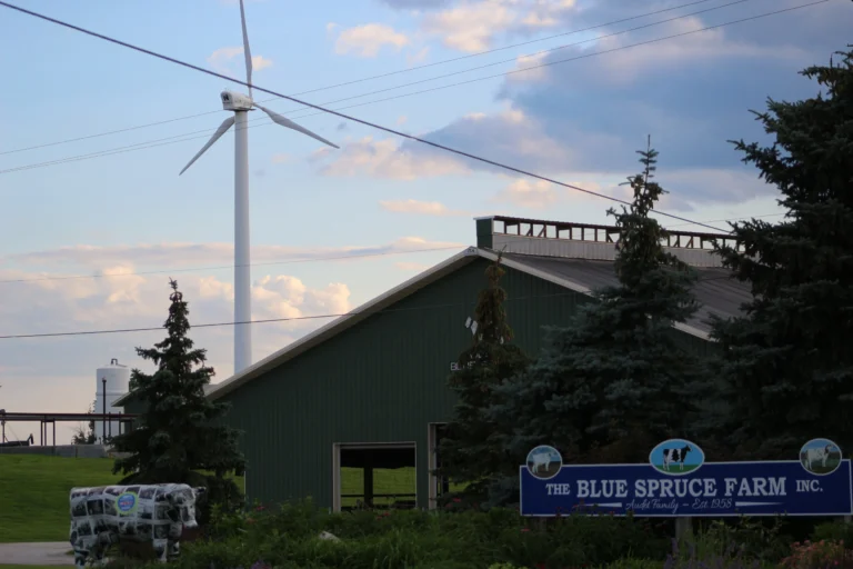 Renewable energy farm with Northern Power wind turbine at Blue Spruce Farm