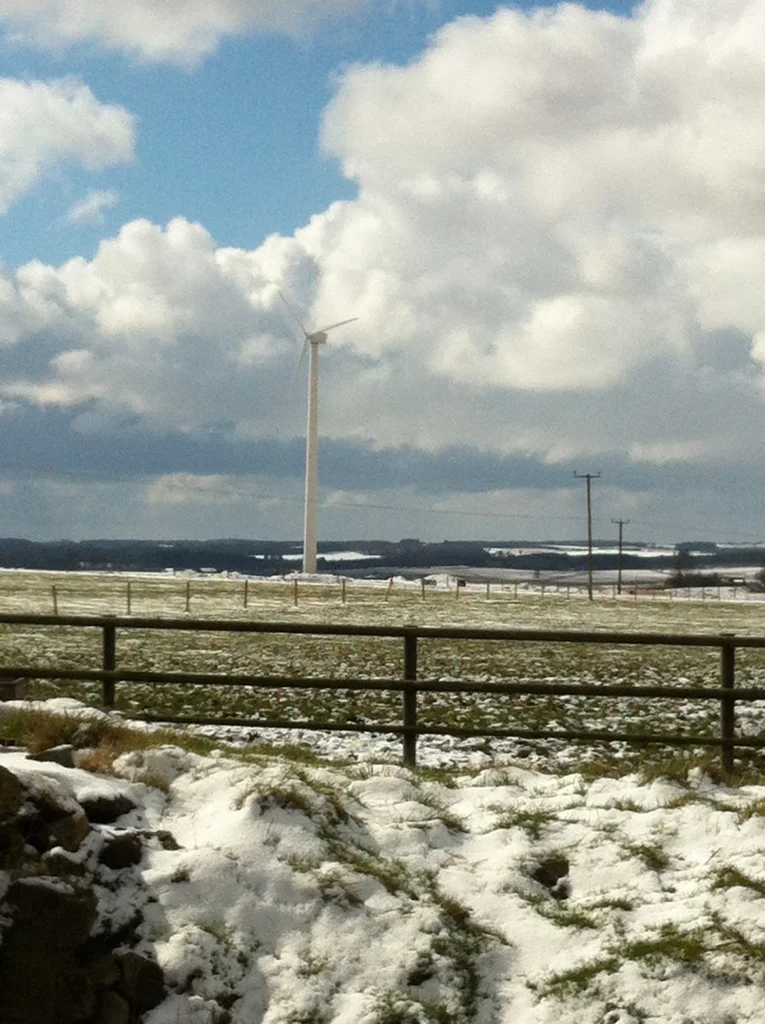 wind turbine for dairy farm